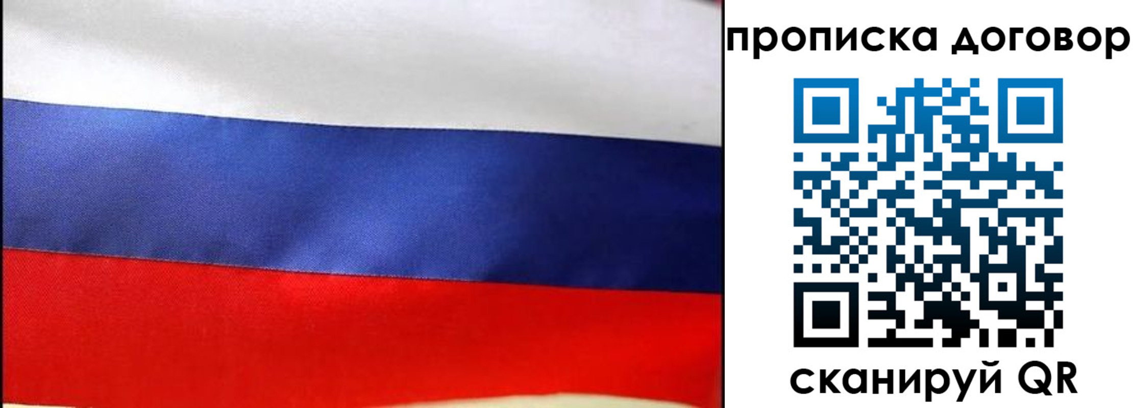 прописка гарантия в Торопеце