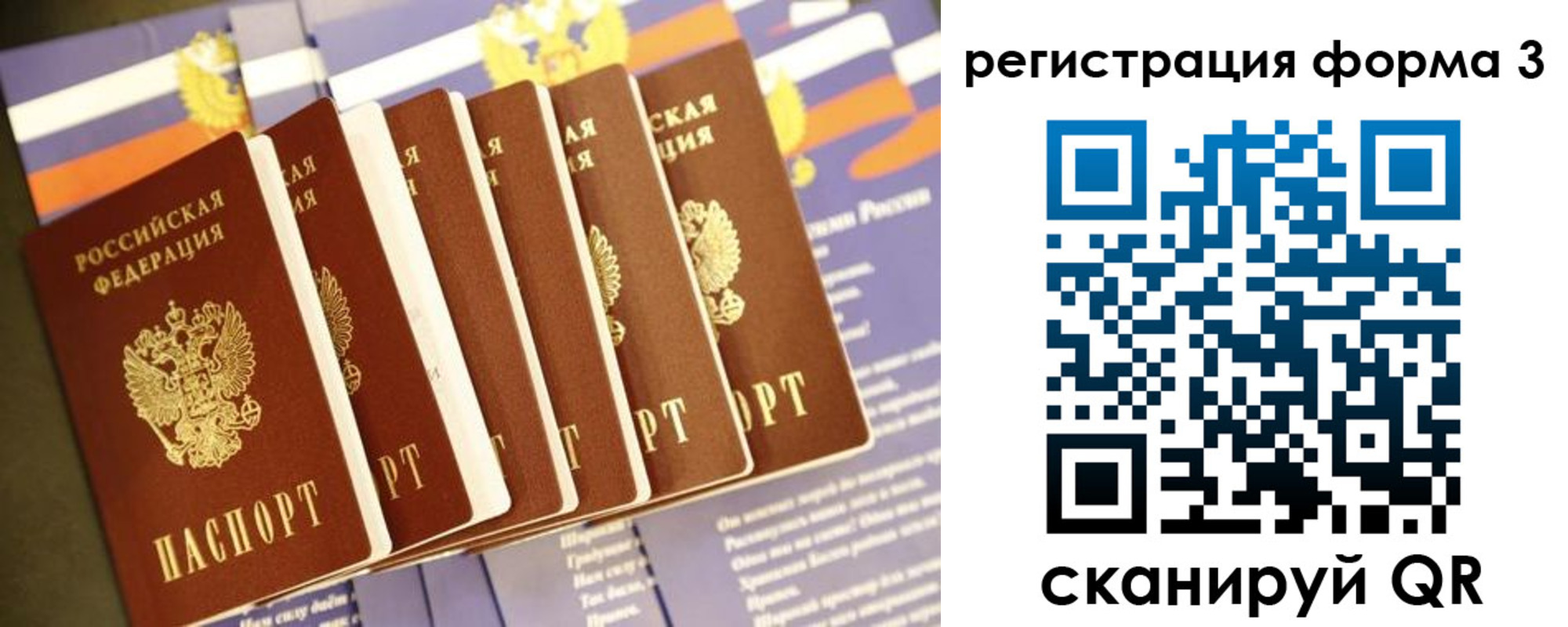 прописка поиск в Торопеце